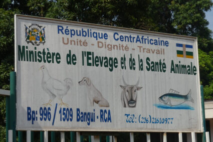 Centrafrique: Quand l’État sert de relais aux affaires privées